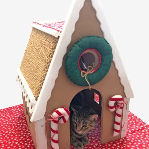 Gingercat House - Limited Edition