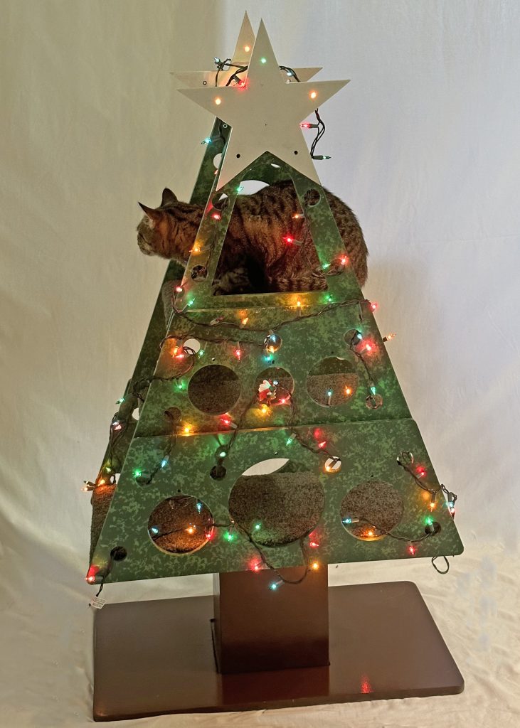 Catmas 2D Small 001 731x1024