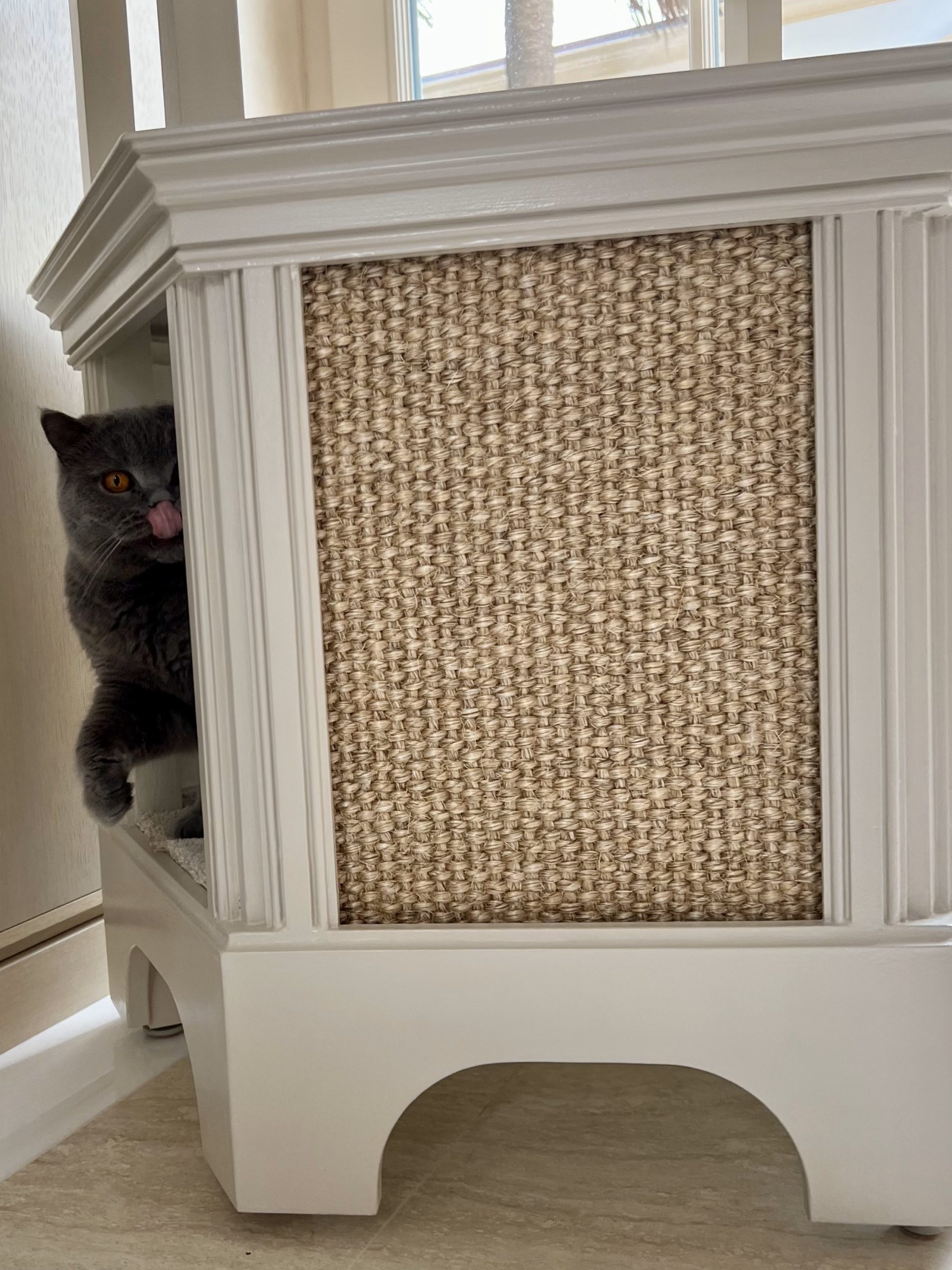 The Best Modern Cat Trees