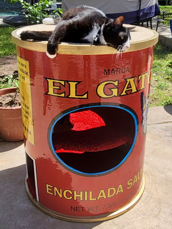 El Gato Rozew