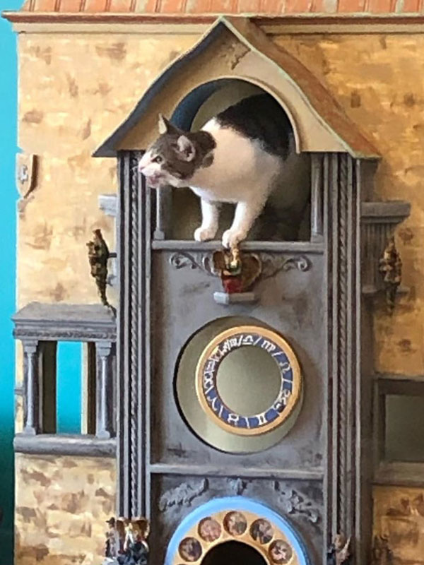 Witty Whisker Archl 2