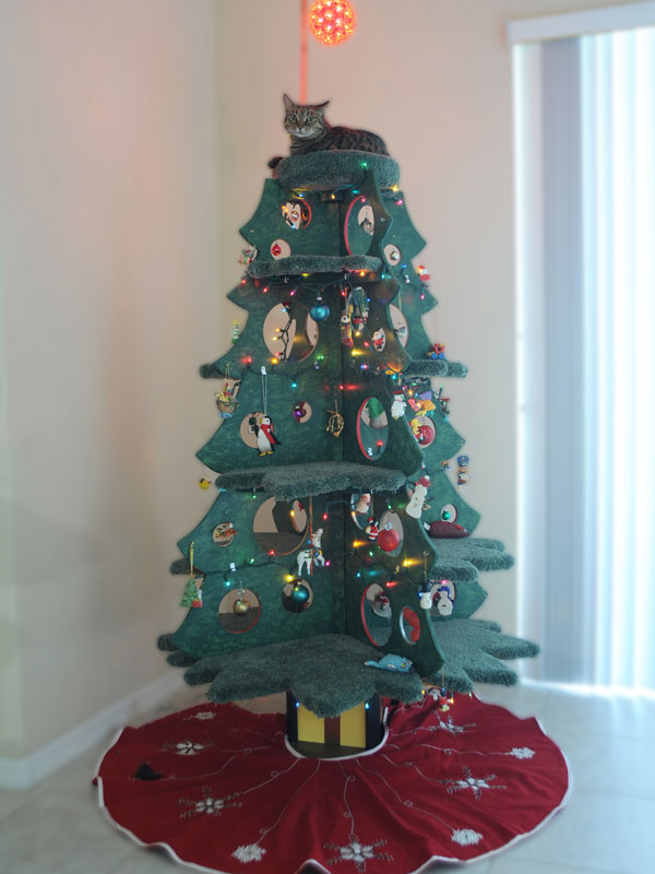 Sq Paws Catmas Tree 001