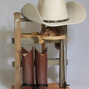 "Herding Cats" Cowboy Cat Tower