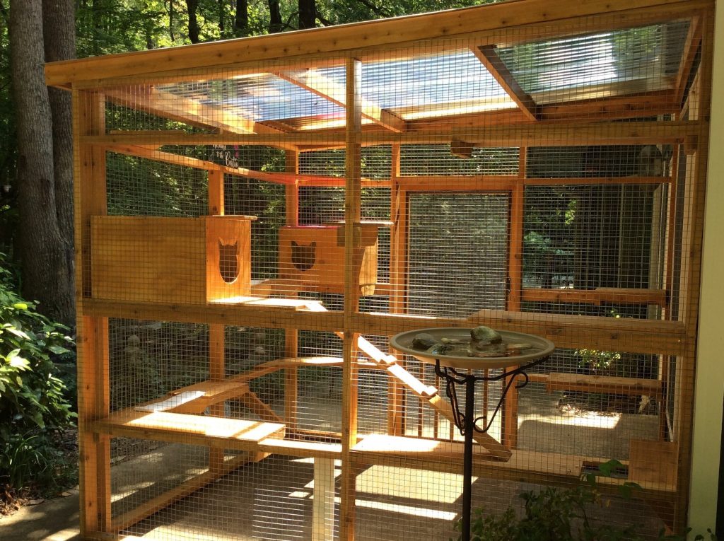 Catio Bob Image 1024x765