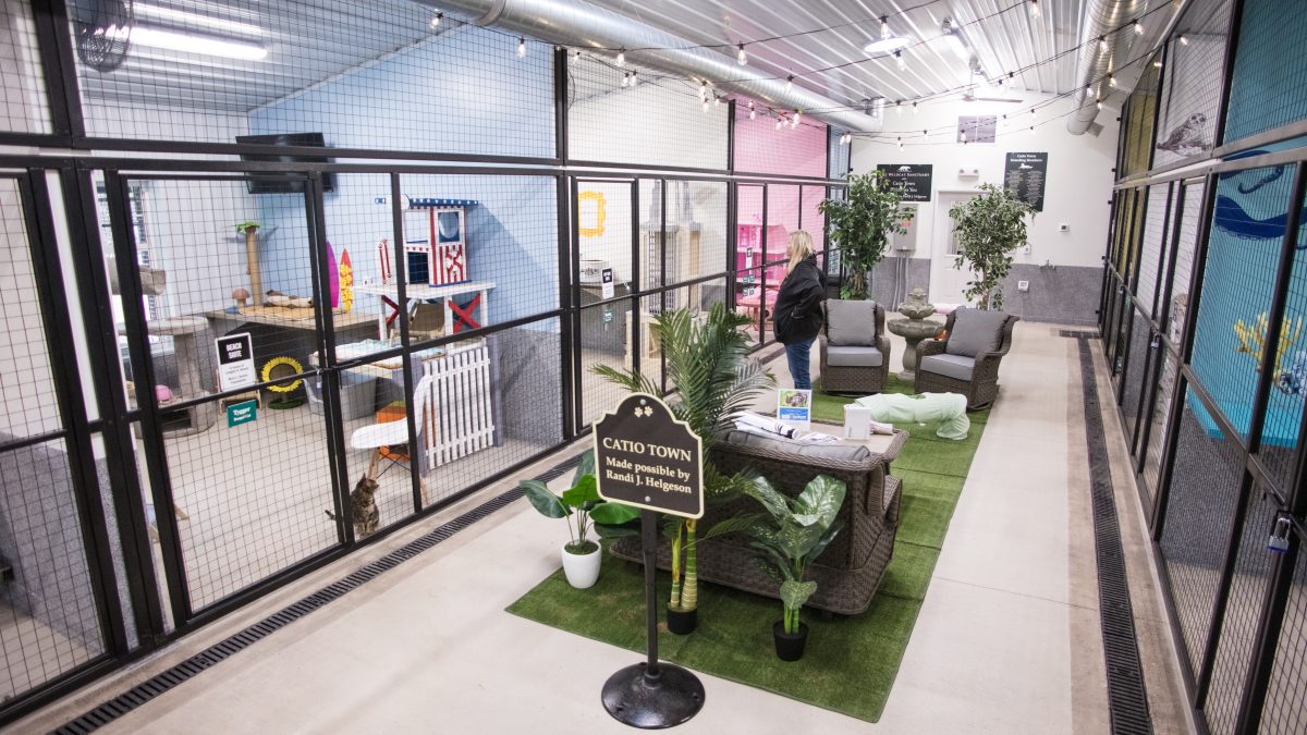Catiotown interior (photo courtesy of The Wildcat Sanctuary)