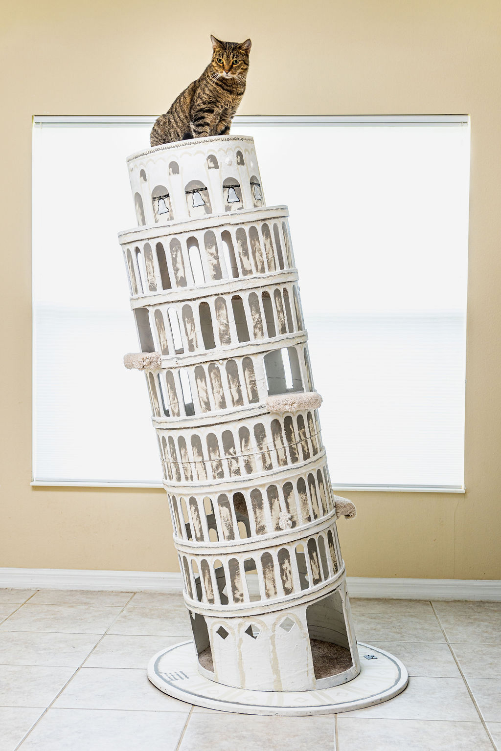 Leaning Cat Tower