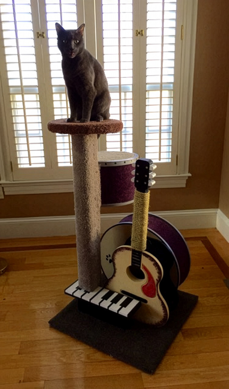 musicat test