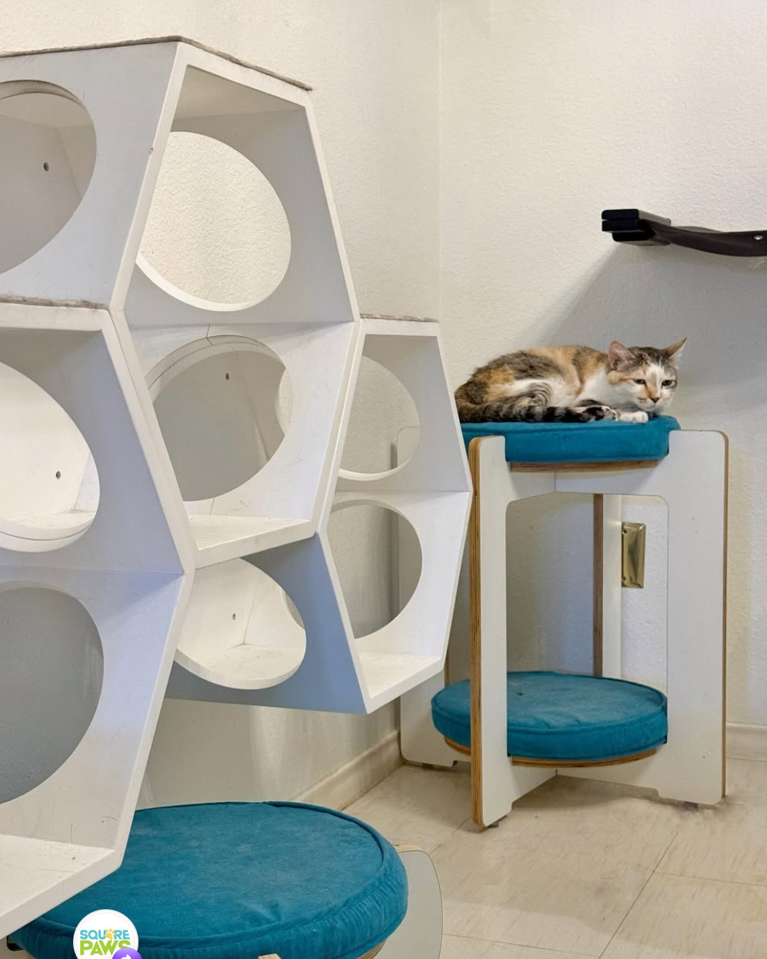 square paws custom cat furniture faux insta 3