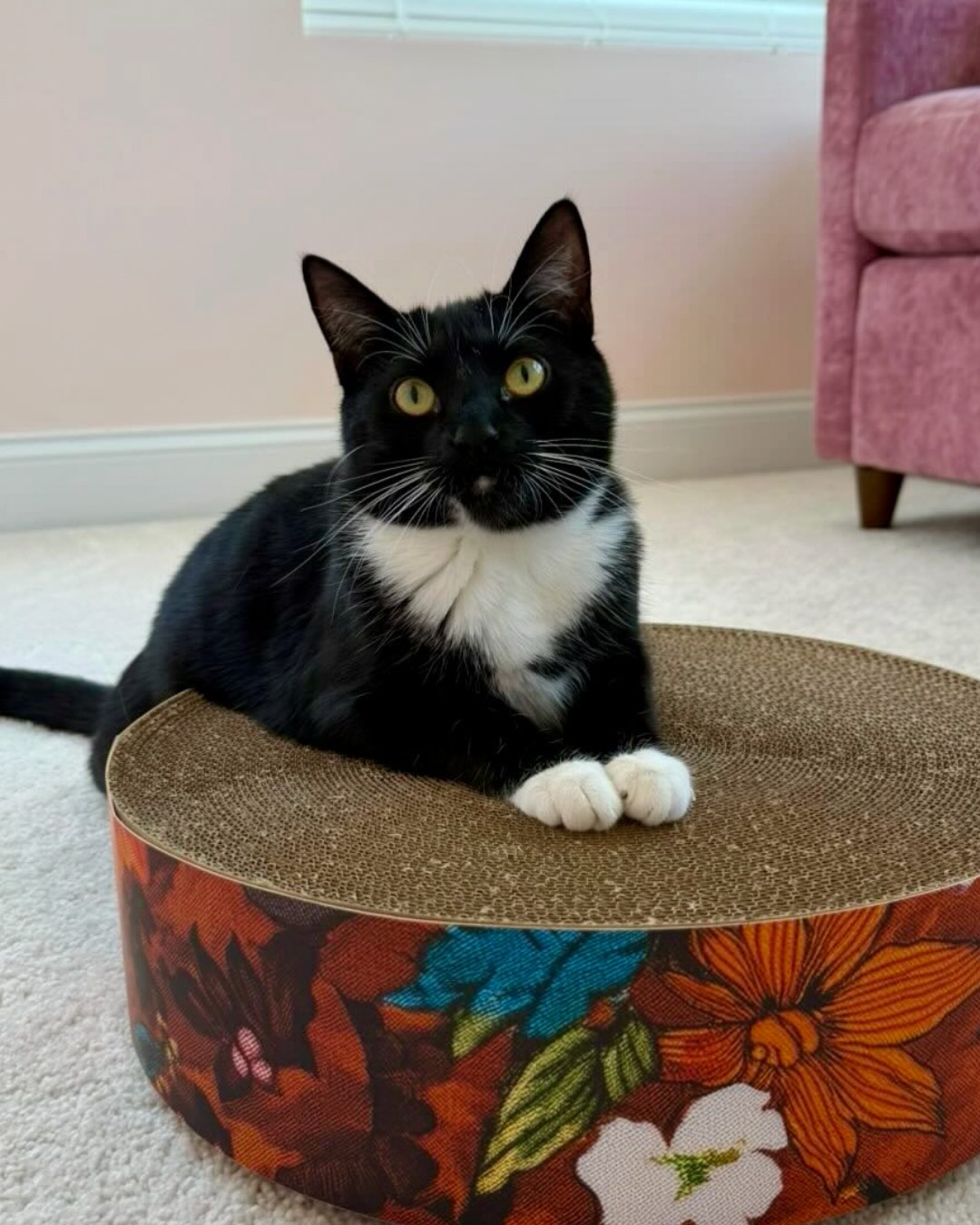 square paws custom cat furniture faux insta 5