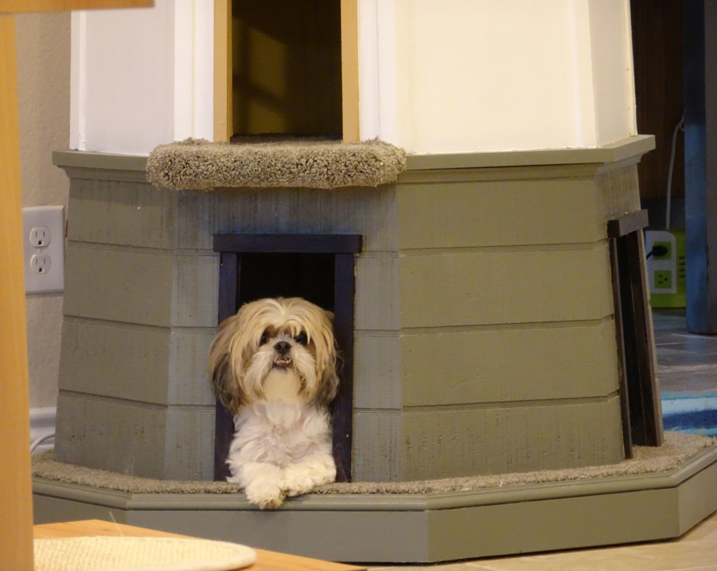 sq paws lighthouse texas 004