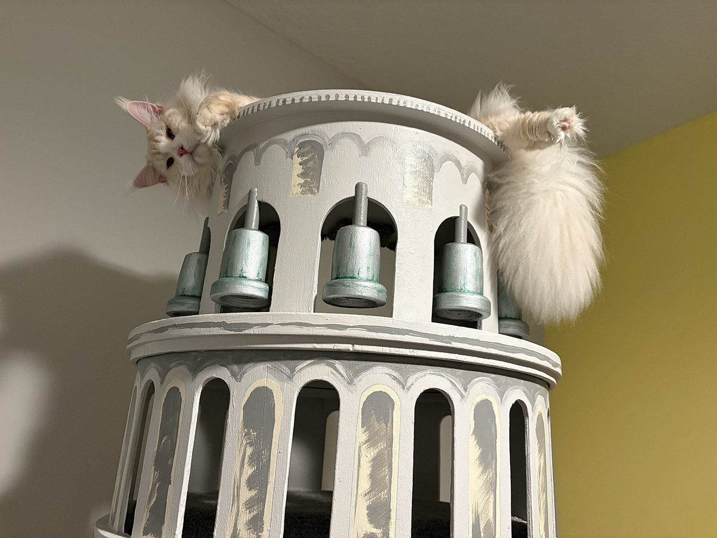 Leonard Tuscan cat village 009 121119 northshoreanimal 018 e1685062939488