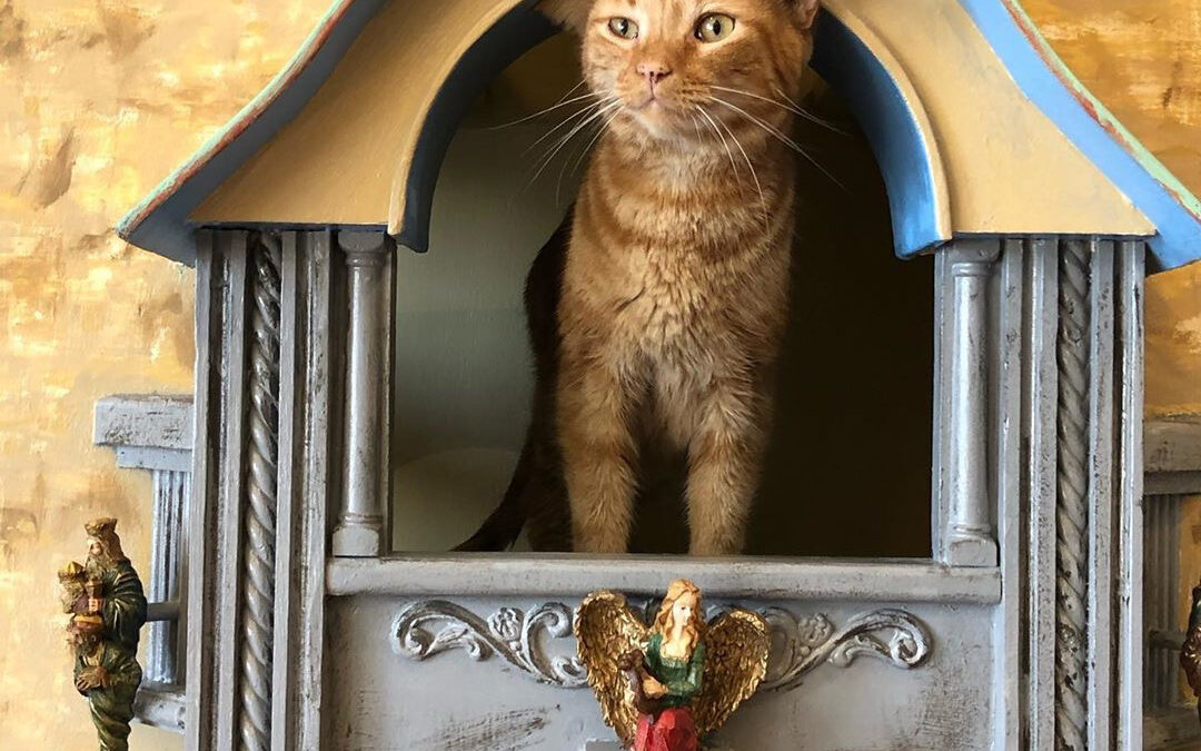 The Ultimate Guide to Choosing the Perfect Cat Tower for Your Feline Friend