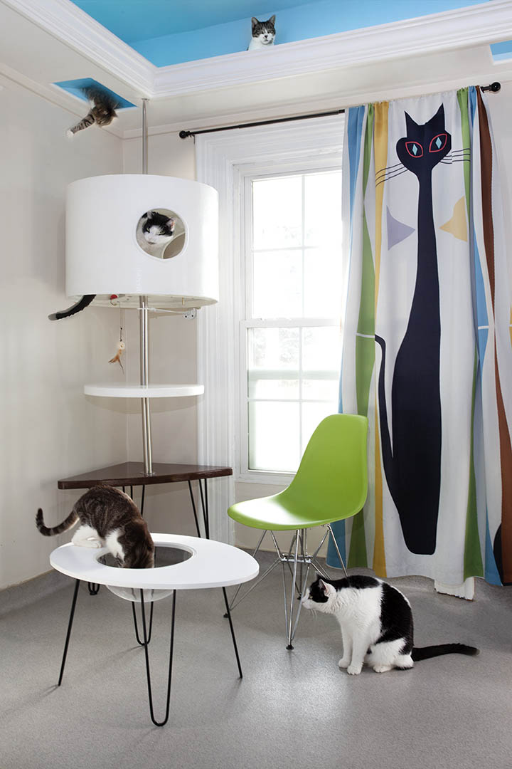Square Paws - Ladew Living Room 008 copy