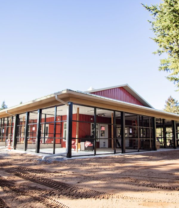 Catiotown exterior (courtesy of The Wildcat Sanctuary)