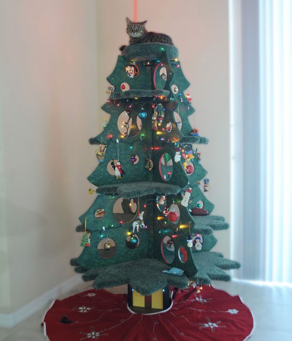 sq-paws-catmas-tree-001