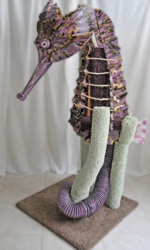 sq-paws-seahorse-001A